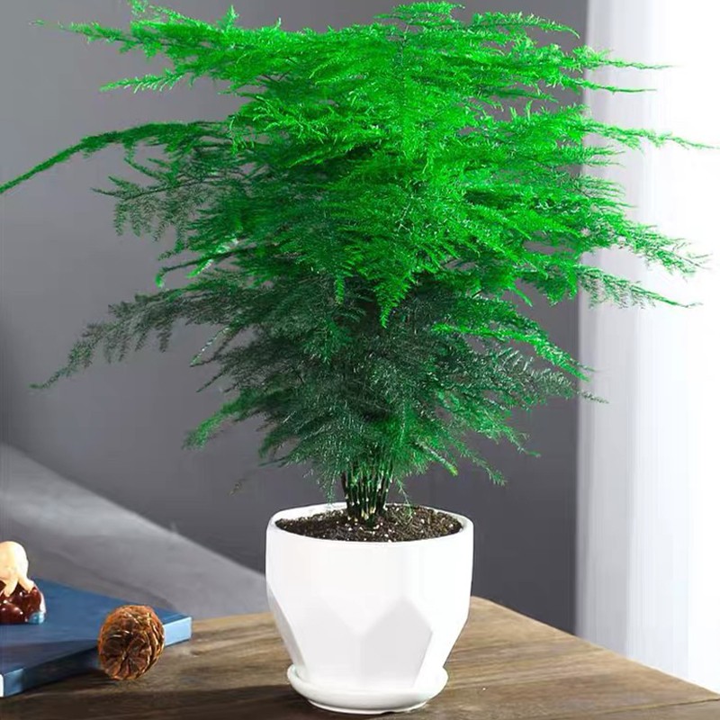 1762586575281279.jpg 013.jpg