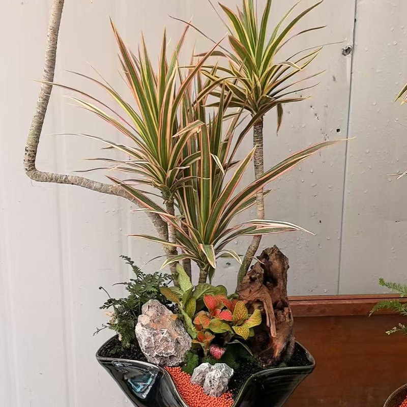 1762833409834273.jpg 06.jpg