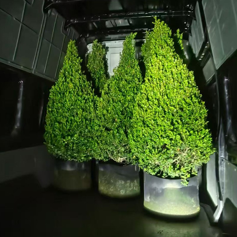 1762833566564584.jpg 019.jpg