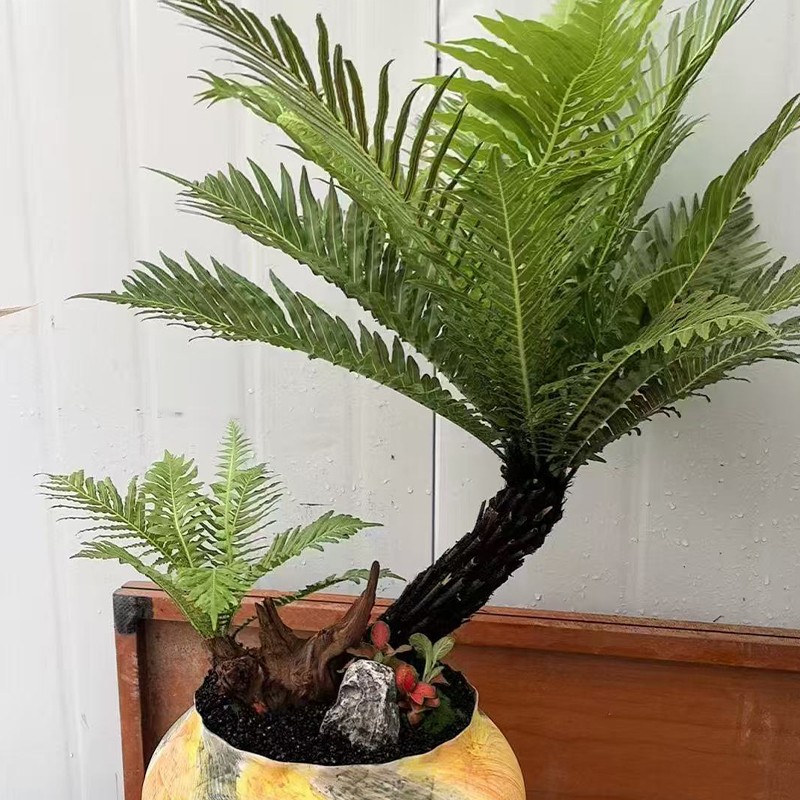 1762918146841196.jpg 0.jpg