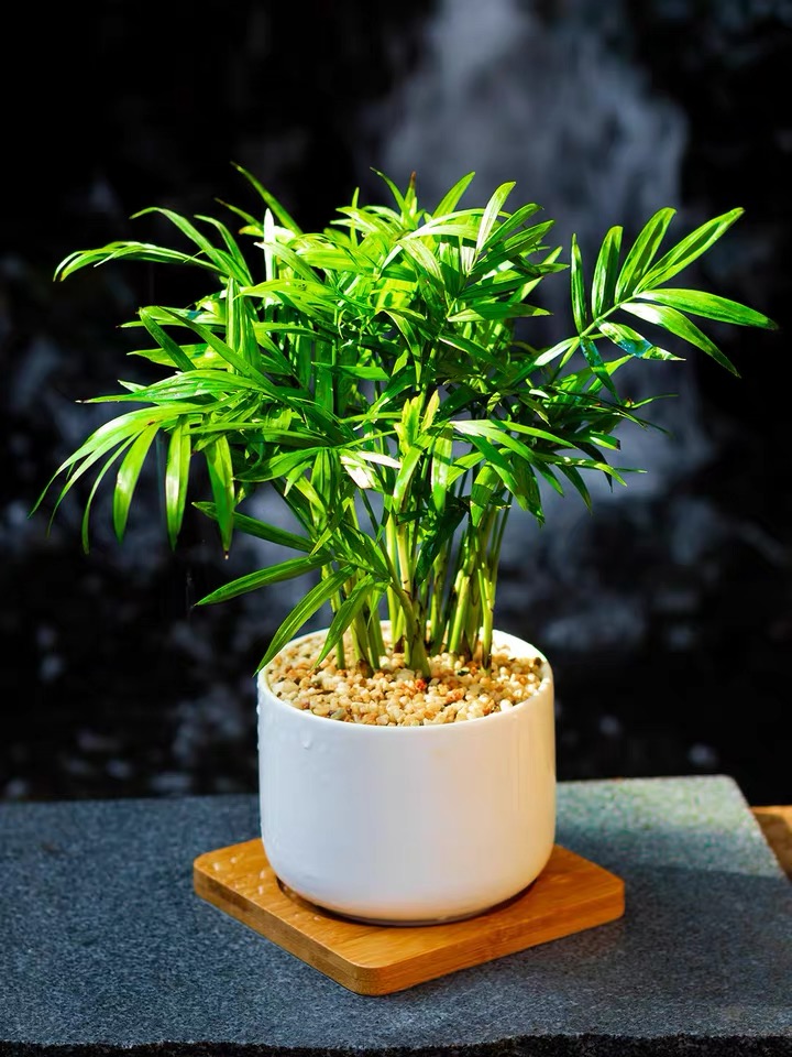 1764228403921659.jpg 微信图片_20250823184935_86_66.jpg