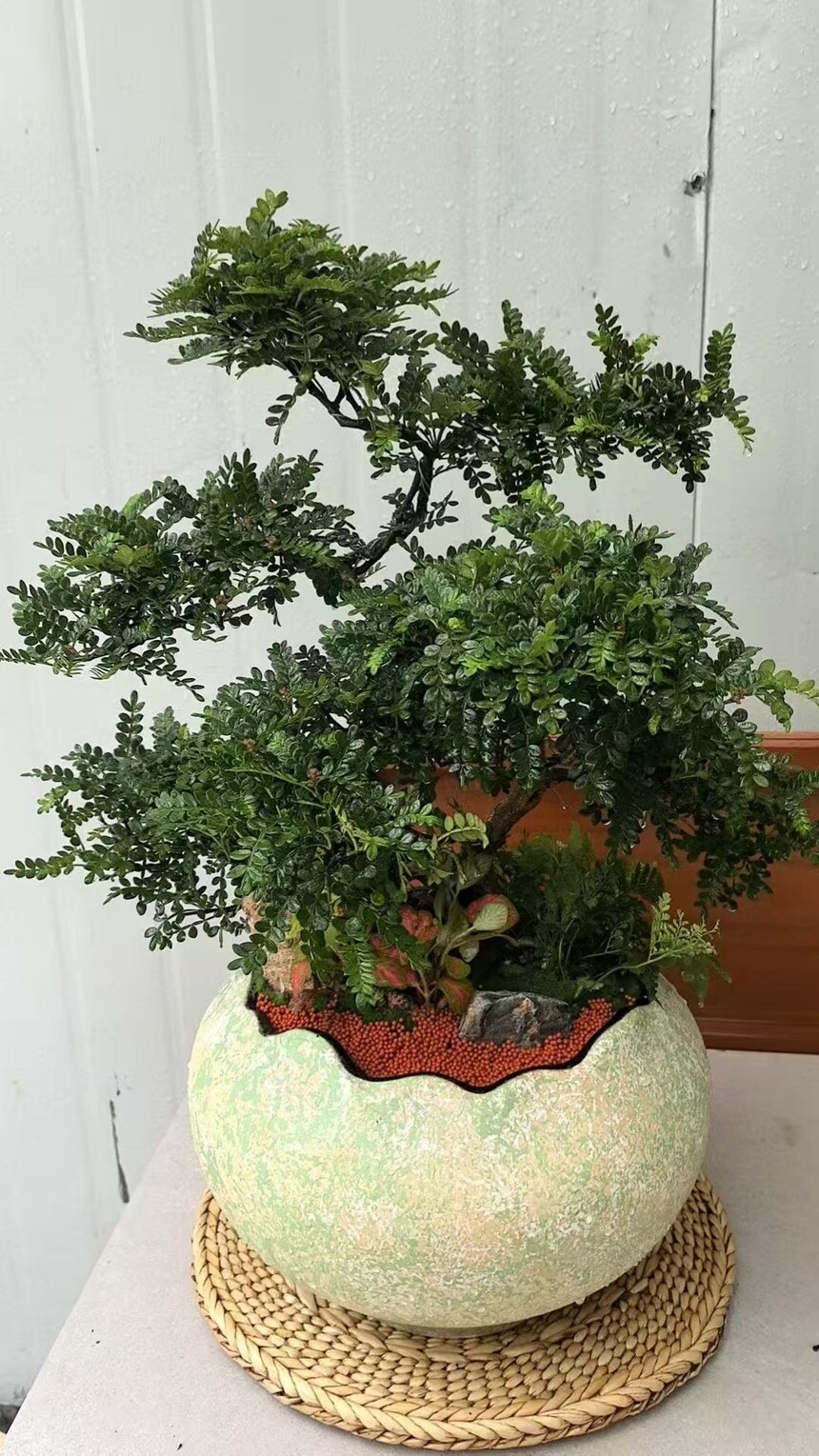 1769045016311551.jpg 微信图片_20250901092905_360_66.jpg