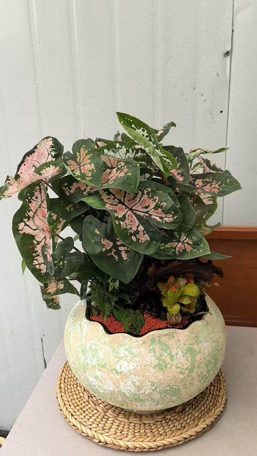 1769045202553844.jpg 微信图片_20250901092910_361_66.jpg