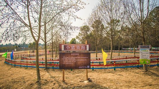 太子山狩猎蓬客连锁营地