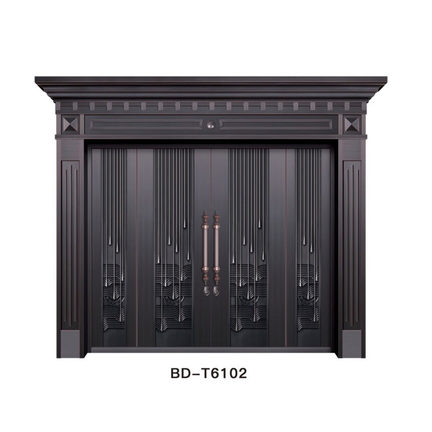 BD-T6102.jpg