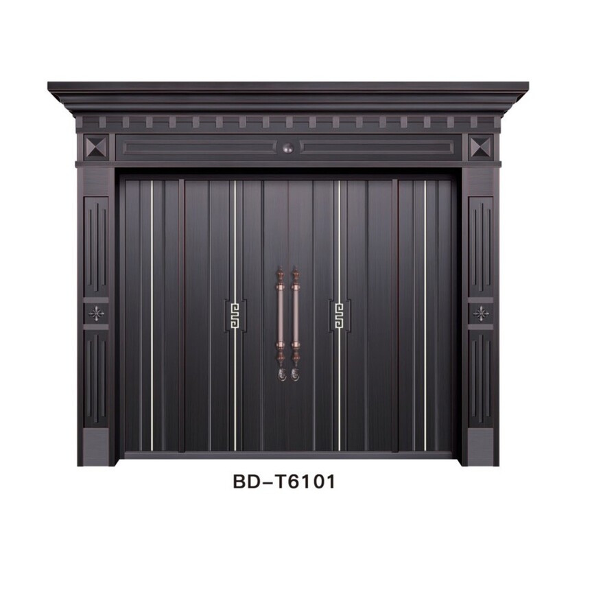 BD-T6101.jpg