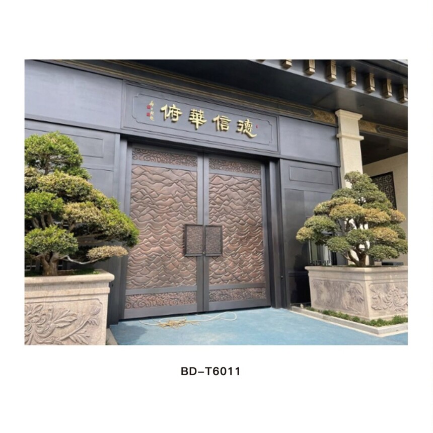 BD-T6011.jpg