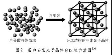 1715564891798131.jpg
