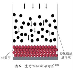 1715565020564809.jpg