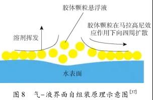 1715567316108030.jpg