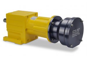 IGP1956-300x199.jpg