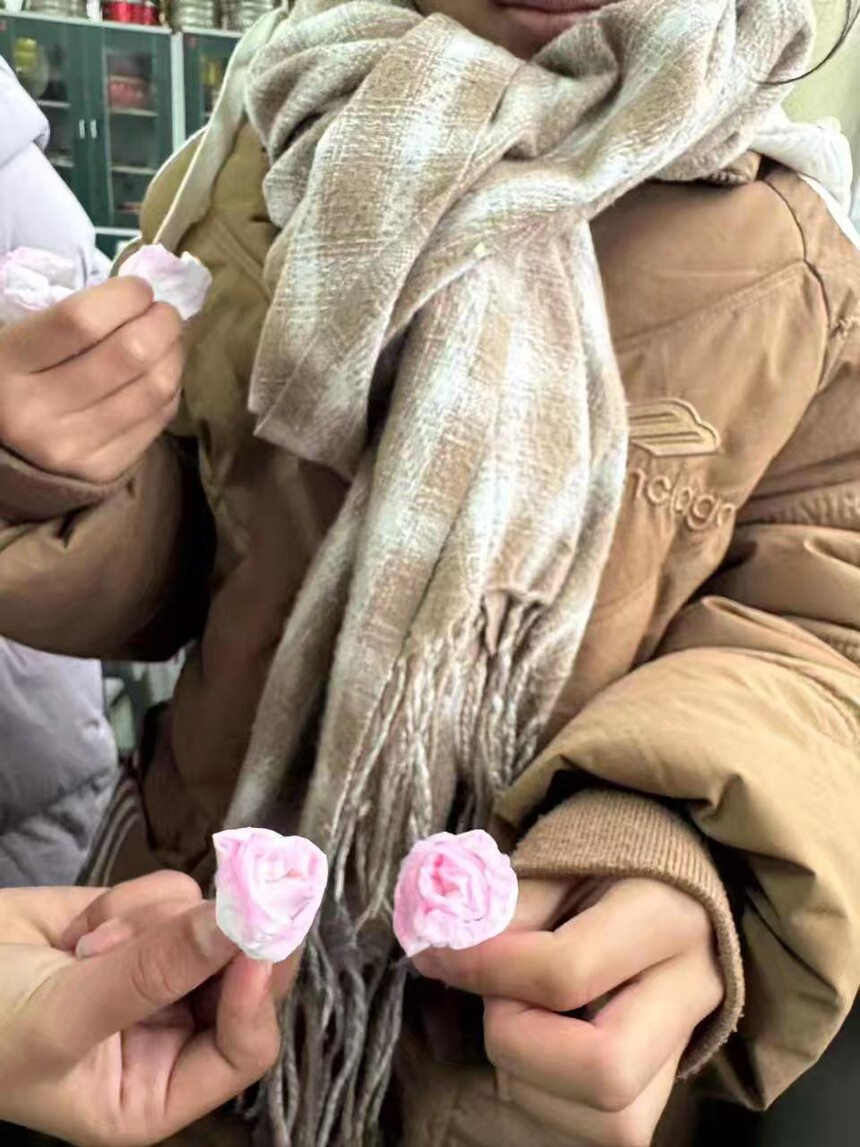 1741231699181838.jpg