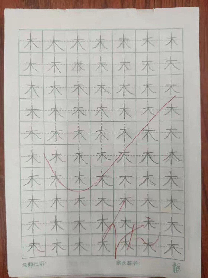 1741231706405168.jpg