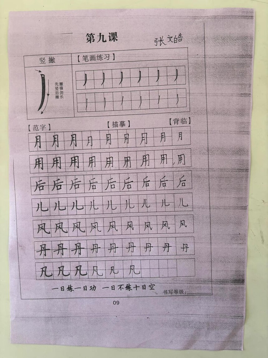 1742532855571626.jpg