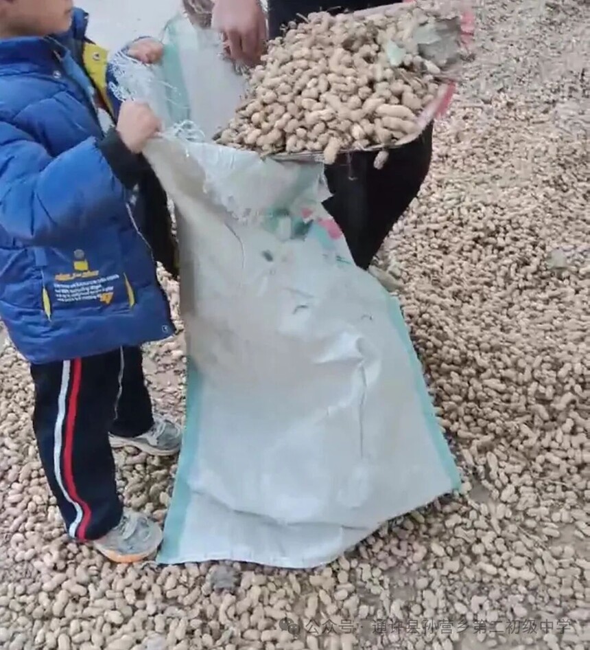 1761817504857976.jpg