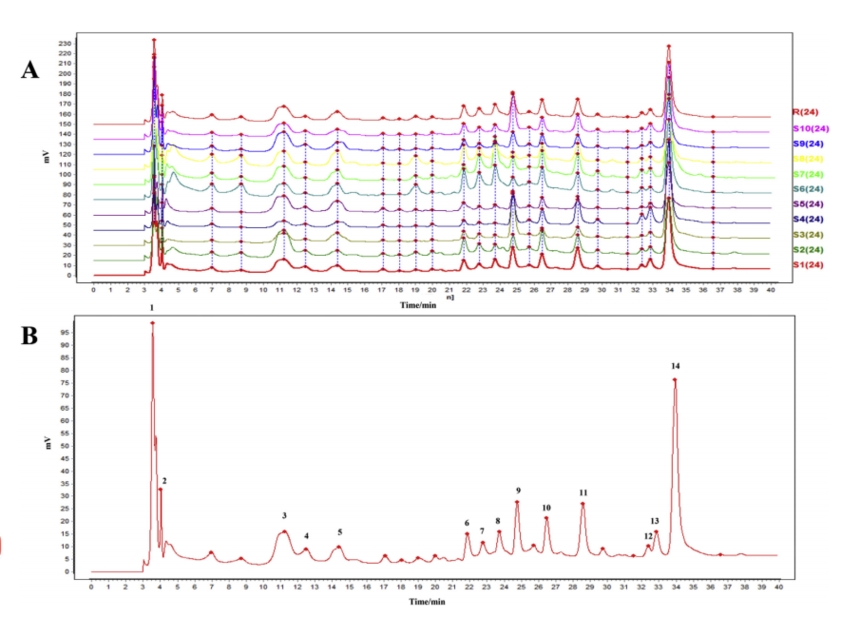 1769761093318309.png 中药植物图谱5.png
