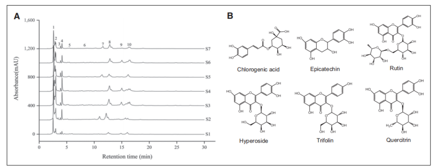 1769761104205819.png 中药植物图谱6.png