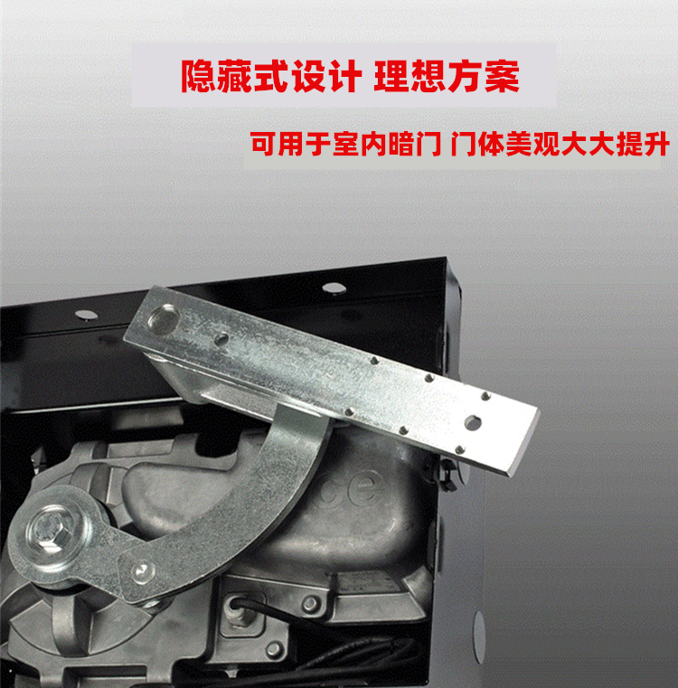 Nice(耐氏)重型地埋式平开门电机BIG-FAB Nice(耐氏)重型地埋式平开门电机BIG-FAB