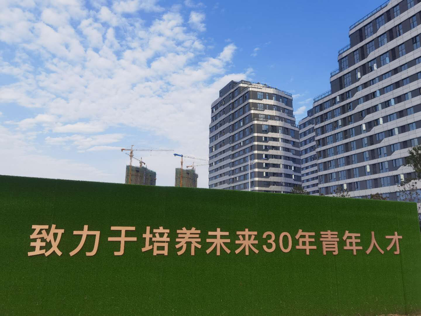 1603110243410958.png
