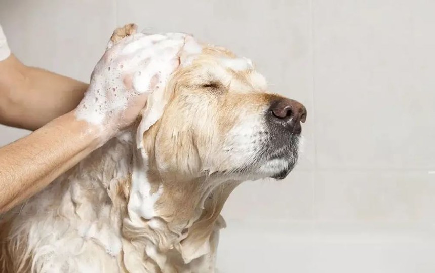 4.JPG