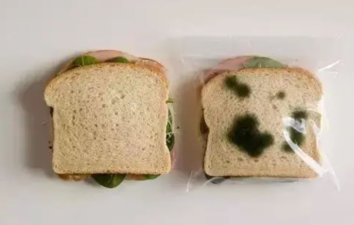 4.JPG