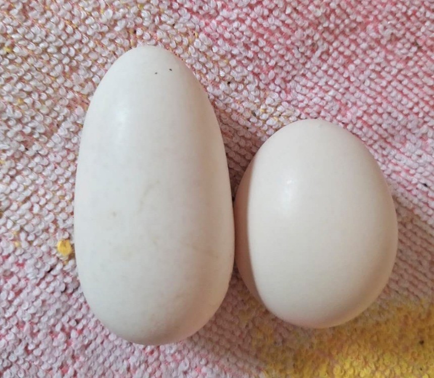 image4.jpg