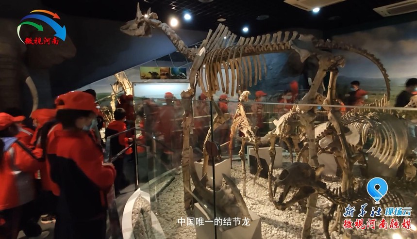 ΢�Ž�ͼ_20201102114851.jpg