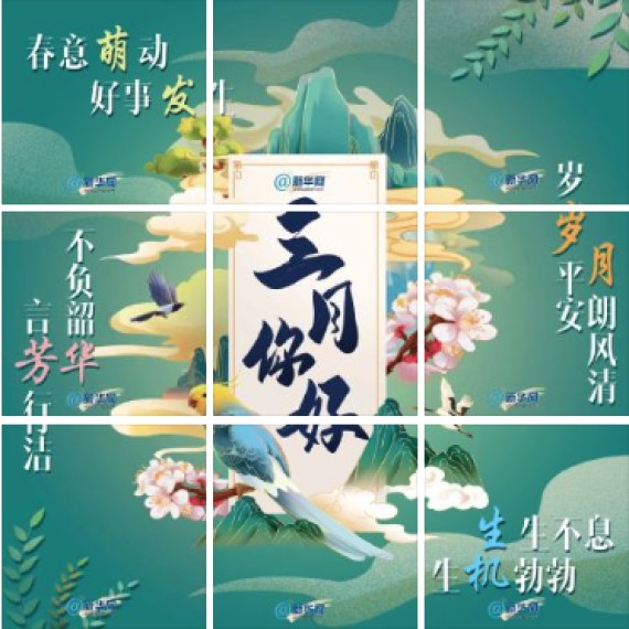 603c3634f3e8323a7753bc3e_570x.jpg