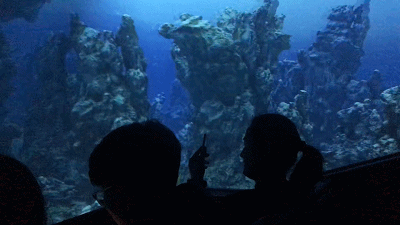 pic_070.gif