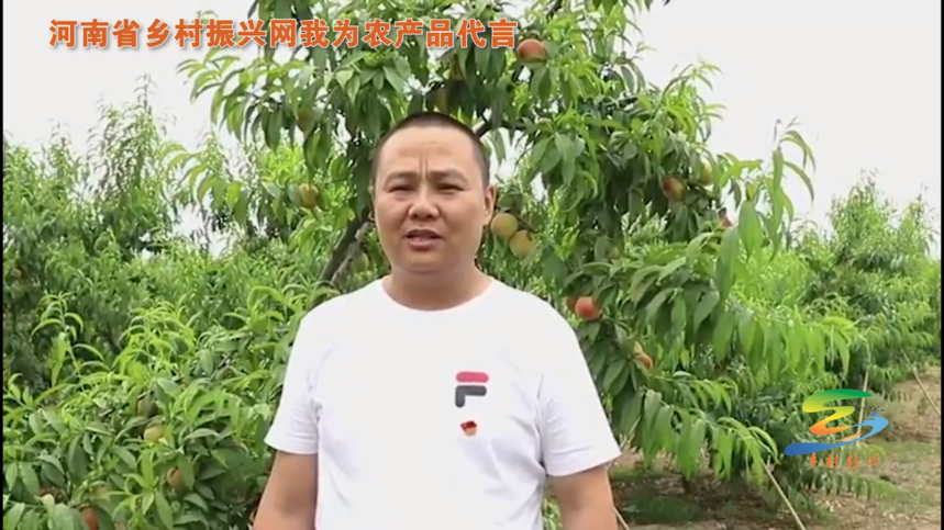 1655706866896518.png image.png