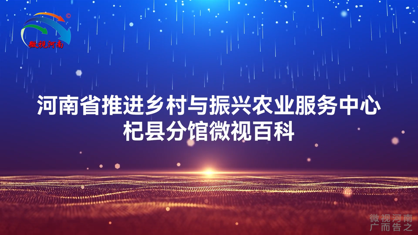 Snipaste_2022-09-15_17-01-12.png