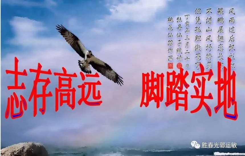 1664264867792716.jpg pic_017.jpg
