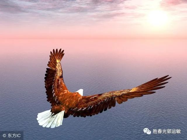1664264903721363.jpg pic_019.jpg