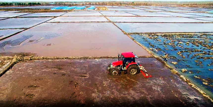 1670575855740734.png image.png