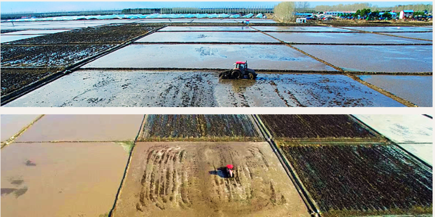 1670575887855627.png image.png