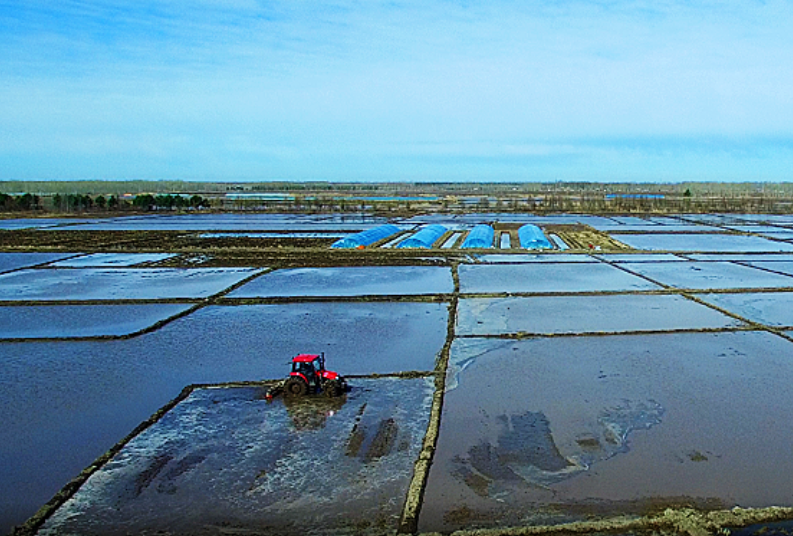 1670575919152384.png image.png