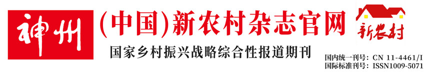 神舟中国新农村头图.jpg