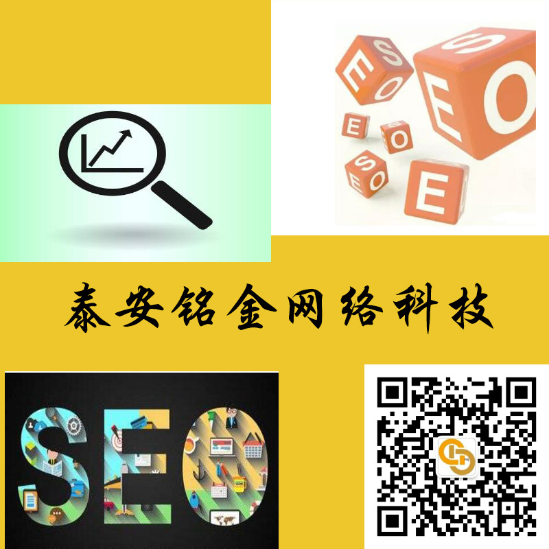 泰安网络公司 泰安网络公司