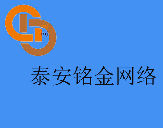 泰安网络公司 泰安网络公司