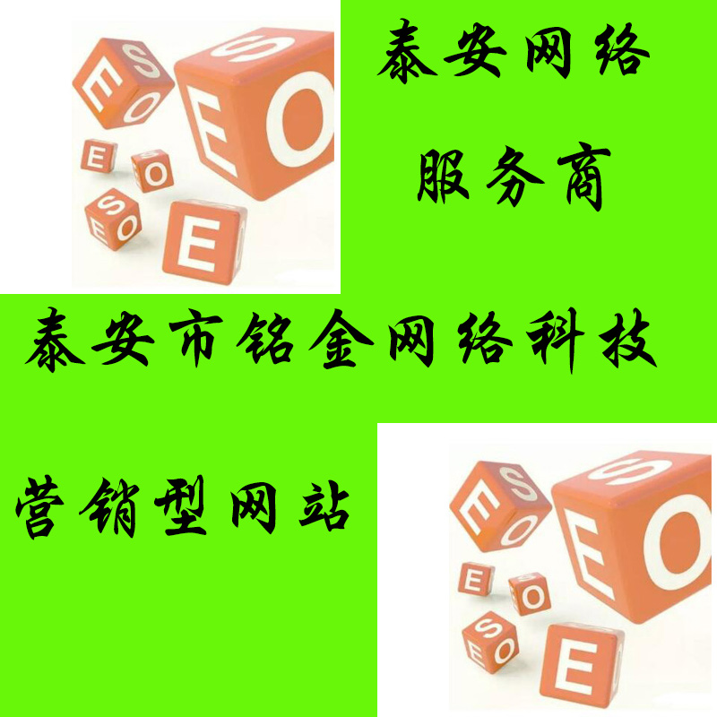 泰安网络公司 泰安网络公司