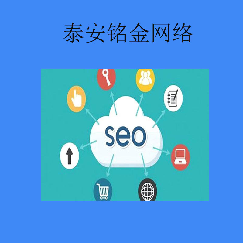 泰安网络公司 泰安网络公司