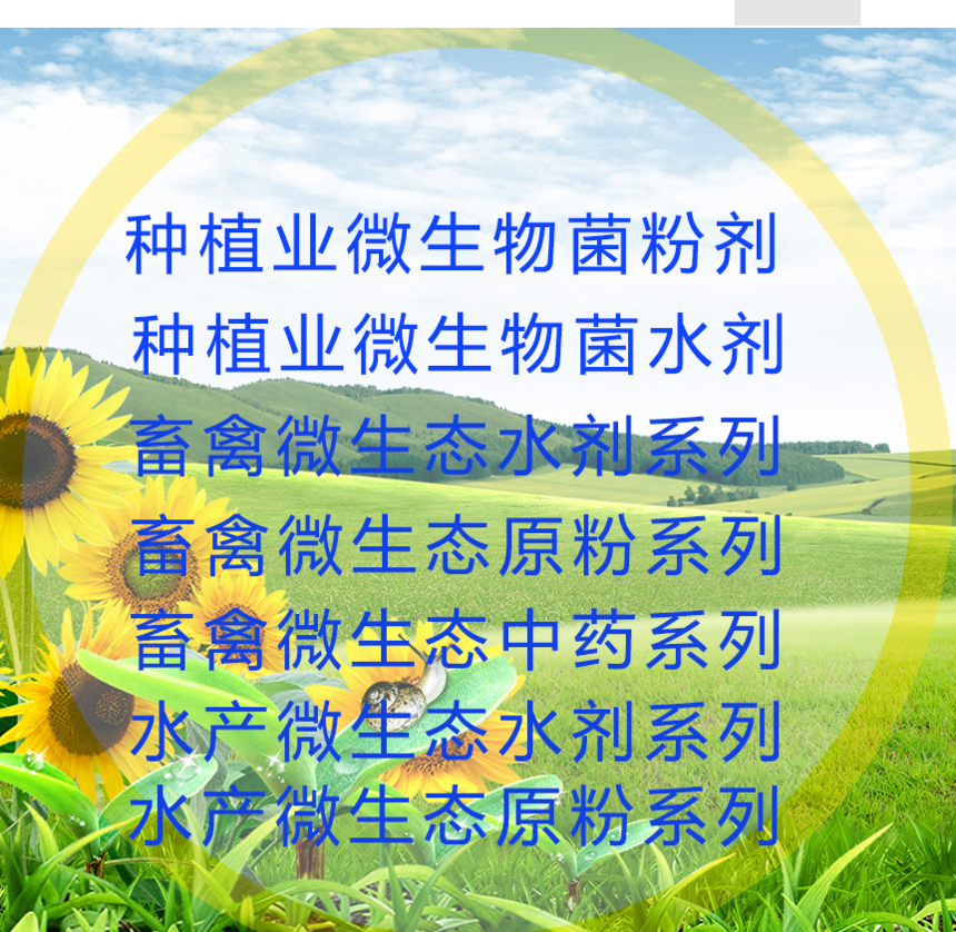 ����.png