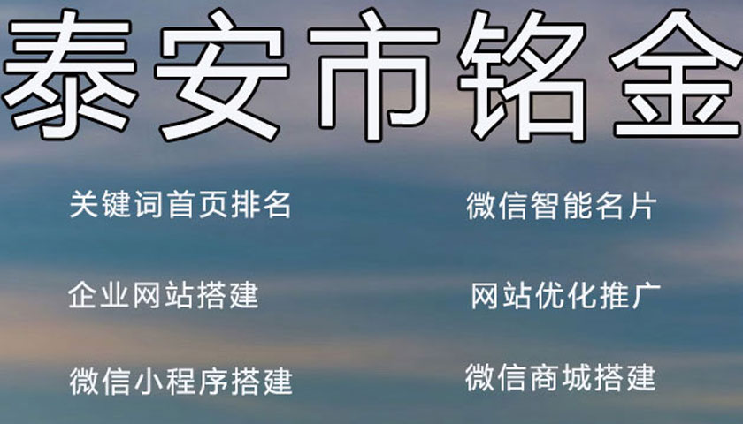泰安网络公司 泰安网络公司