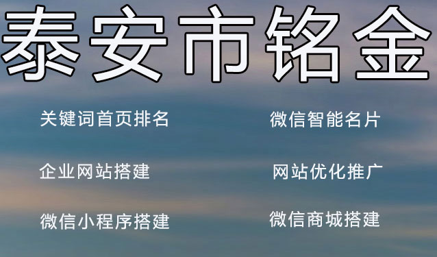 泰安网络公司 泰安网络公司