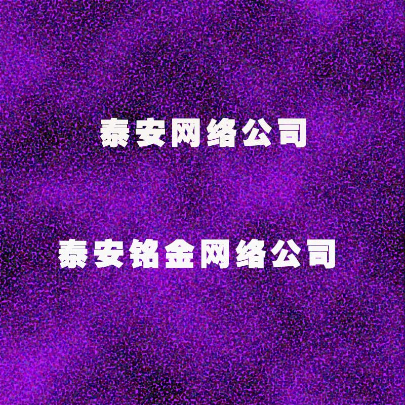 泰安网络公司 泰安网络公司