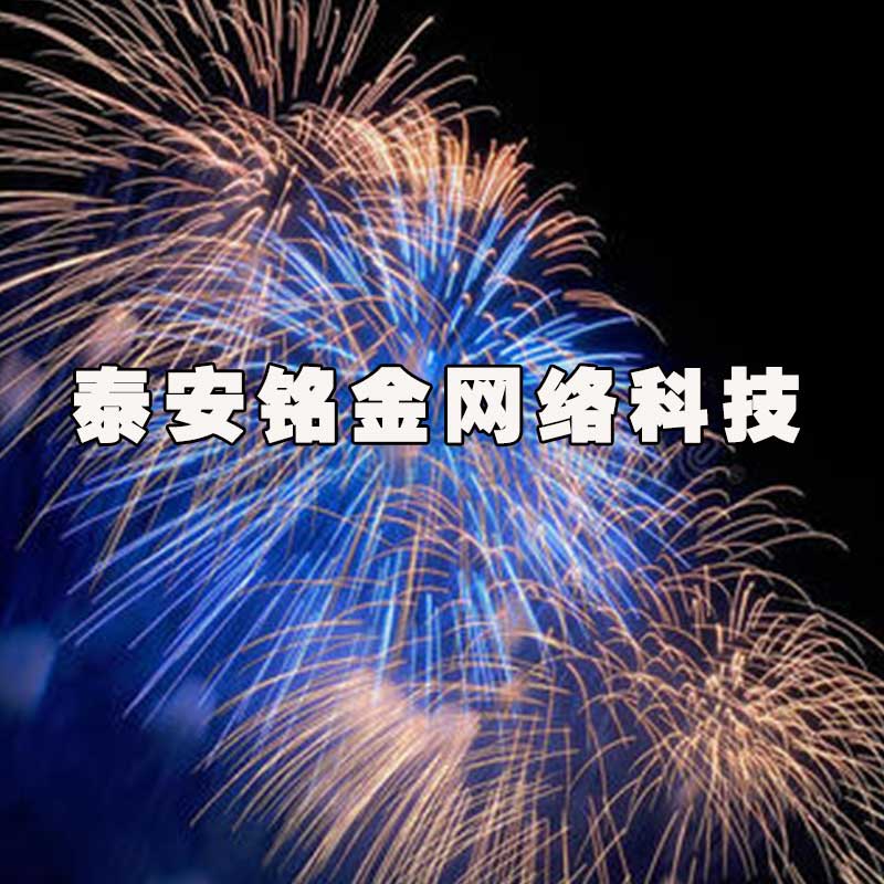 泰安网络公司 泰安网络公司