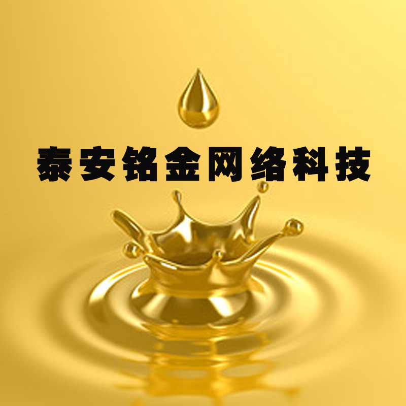 泰安网络公司 泰安网络公司