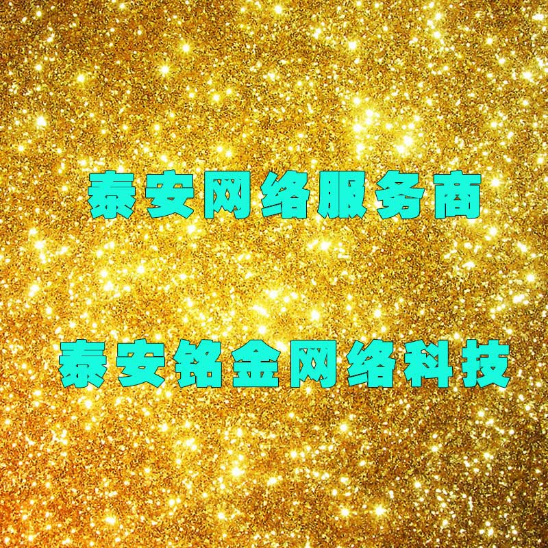 泰安网络公司 泰安网络公司