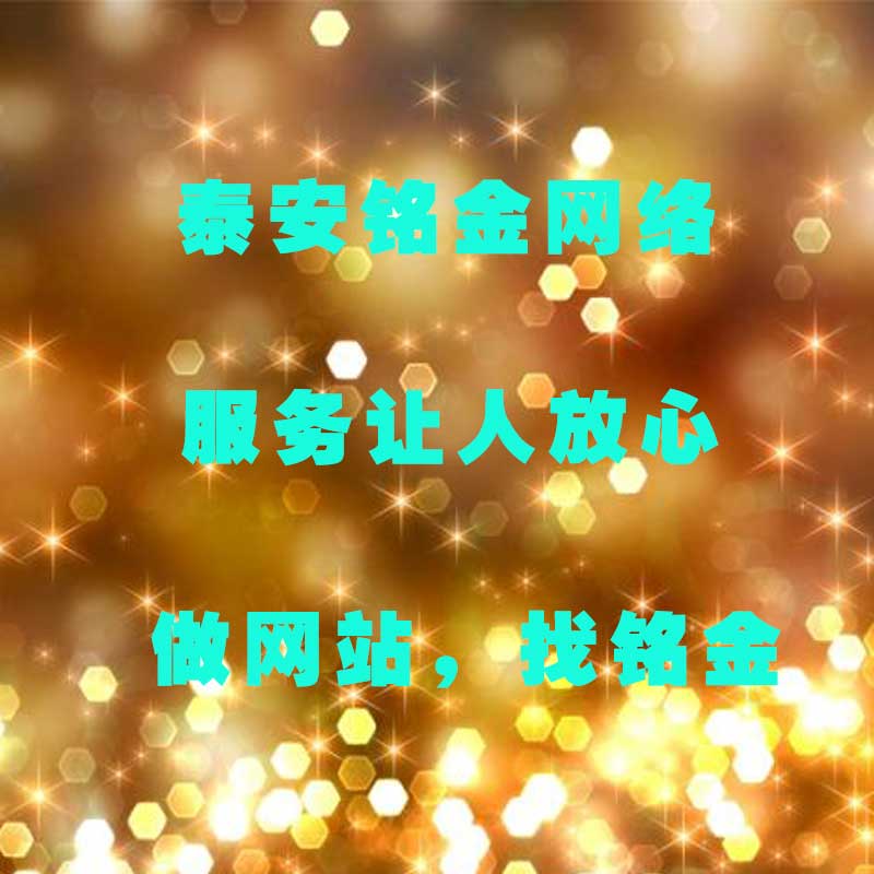 泰安网络公司 泰安网络公司