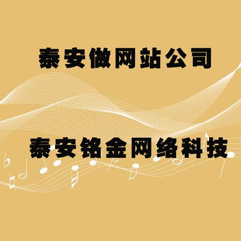 泰安网络公司 泰安网络公司